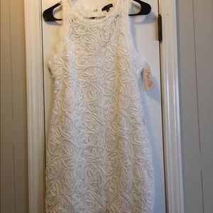 Pink Lily gorgeous lace dress